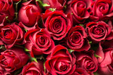 Herbal Magic Bundle – Love, Prosperity & Glam Valentine’s Special