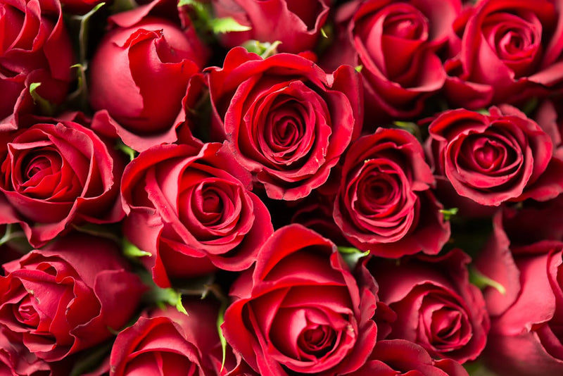 Herbal Magic Bundle – Love, Prosperity & Glam Valentine’s Special